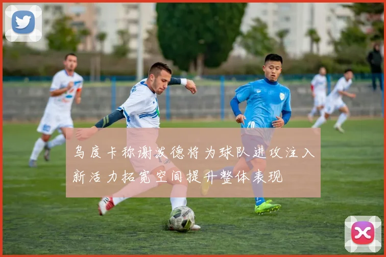 乌度卡称谢泼德将为球队进攻注入新活力拓宽空间提升整体表现